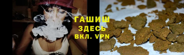 стаф Аркадак