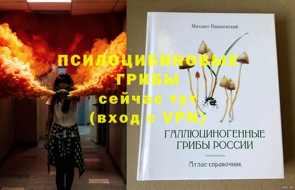 стаф Аркадак
