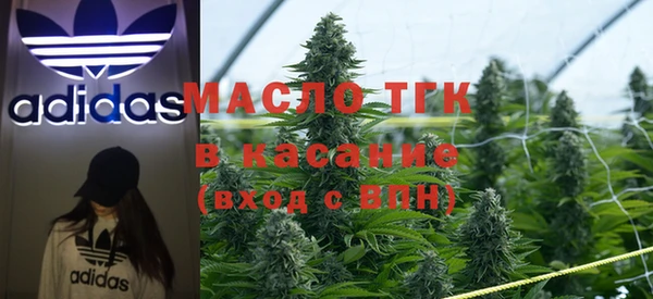 стаф Аркадак