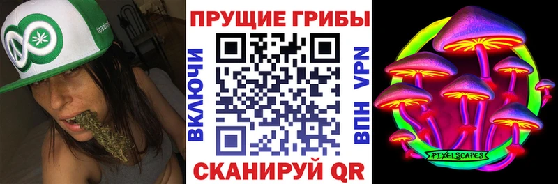 Галлюциногенные грибы прущие грибы  Похвистнево 